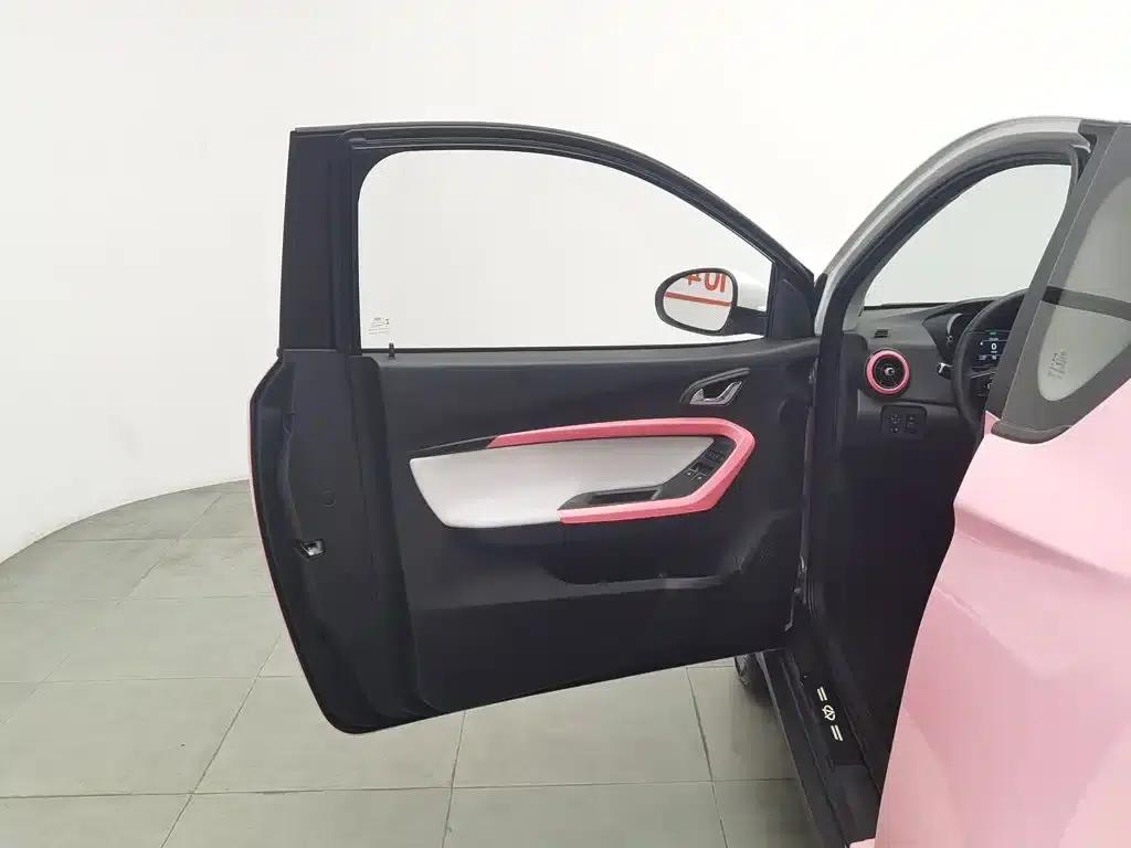 Little Ant 2023 Model 251km True Love Edition Lithium Iron Phosphate — миниатюра 8