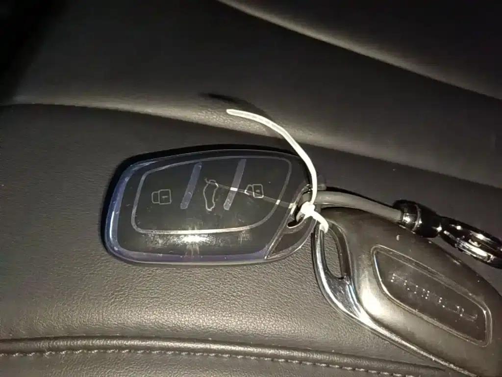 Roewe RX5 MAX 2019 300TGI Automatic 4G Connected Luxury Edition — миниатюра 9