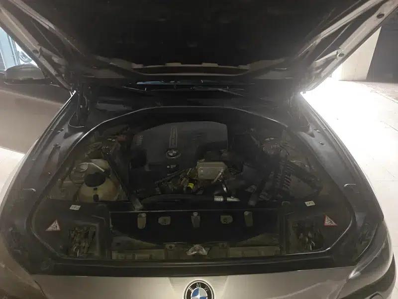 2014 BMW 5 Series 525Li Luxury Design Package — миниатюра 19