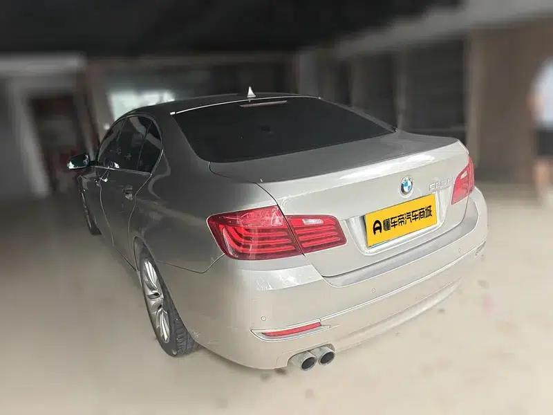 2014 BMW 5 Series 525Li Luxury Design Package — миниатюра 6