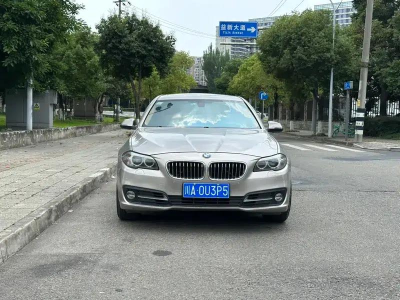 BMW 5 Series 2013 520Li Elegant Edition — миниатюра 2