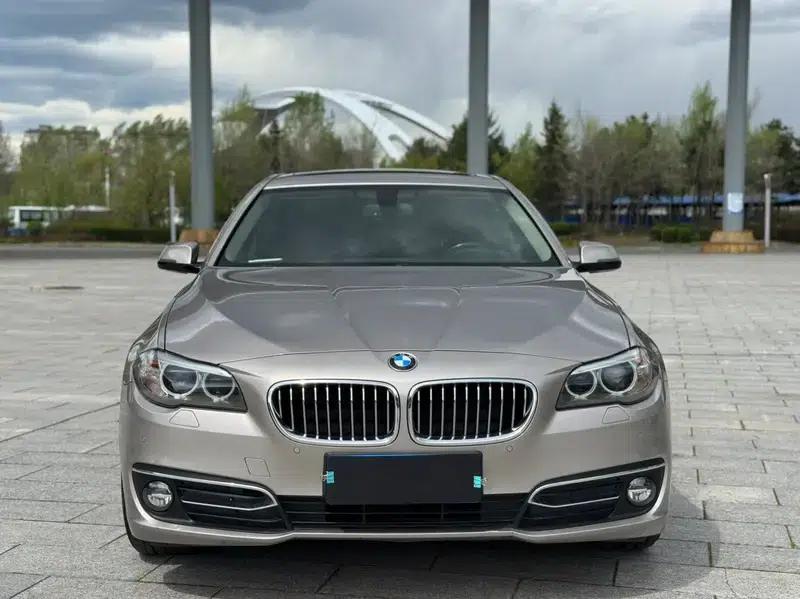 2017 BMW 5 Series 525Li Luxury Design Package — миниатюра 2