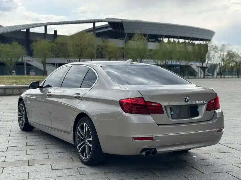 2017 BMW 5 Series 525Li Luxury Design Package — миниатюра 4