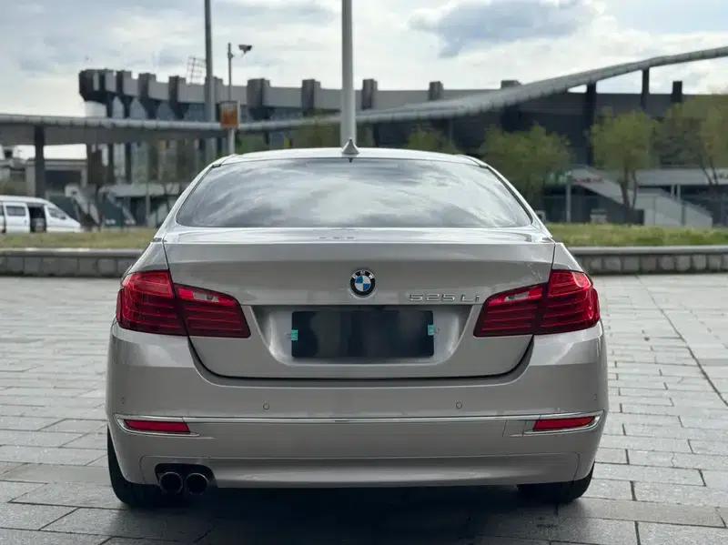 2017 BMW 5 Series 525Li Luxury Design Package — миниатюра 5