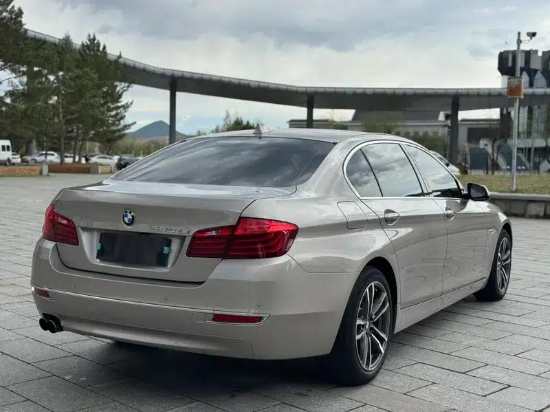 2017 BMW 5 Series 525Li Luxury Design Package — миниатюра 6