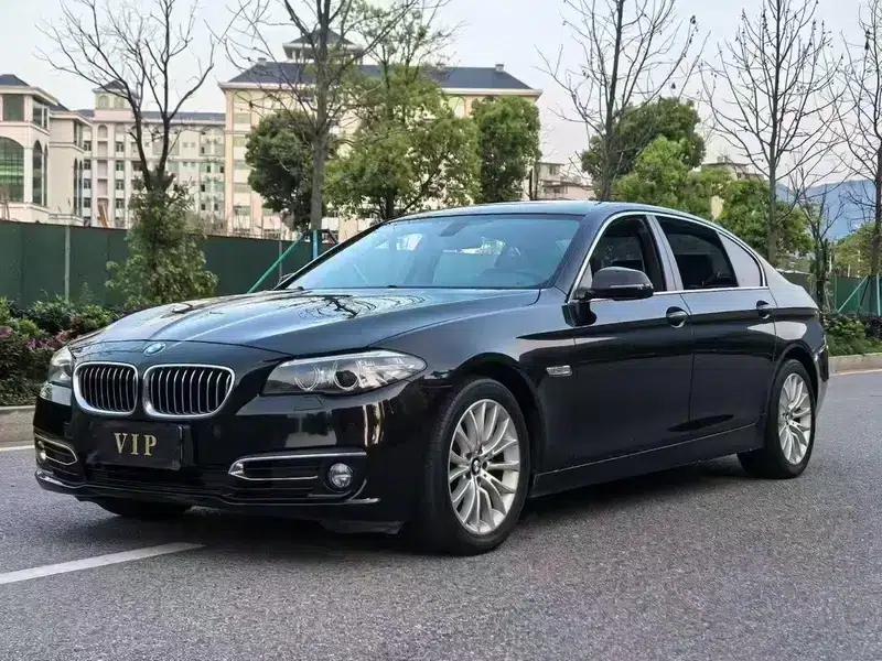 2017 BMW 5 Series 525Li Luxury Design Package — миниатюра 1