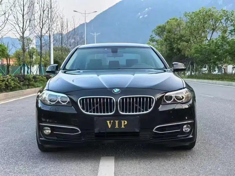 2017 BMW 5 Series 525Li Luxury Design Package — миниатюра 2