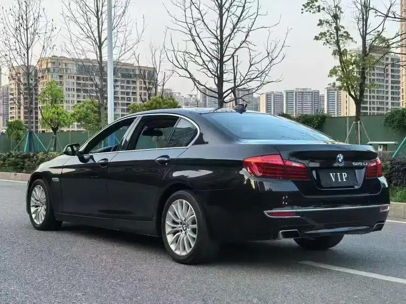 2017 BMW 5 Series 525Li Luxury Design Package — миниатюра 4
