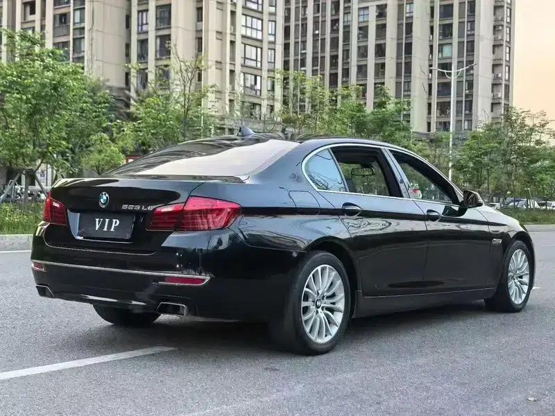 2017 BMW 5 Series 525Li Luxury Design Package — миниатюра 6