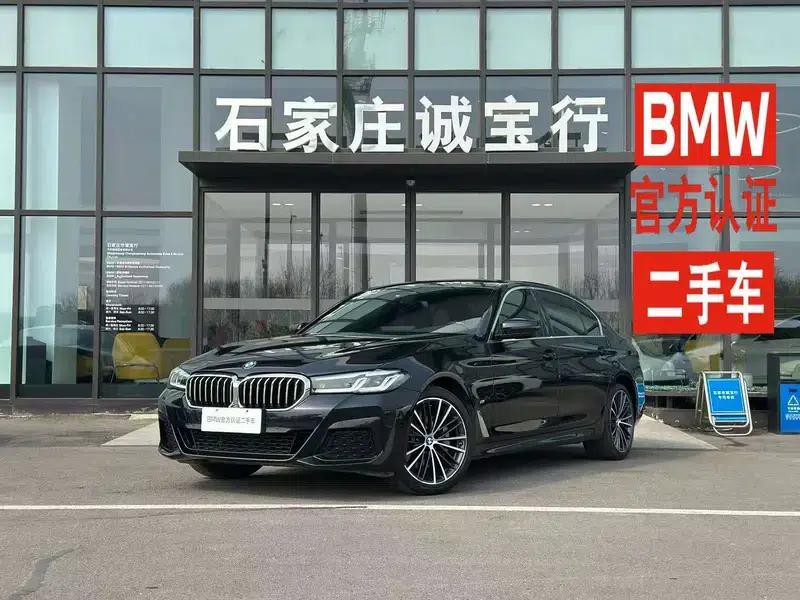 2021 BMW 5 Series 530Li Leading Edition M Sport Package — миниатюра 11
