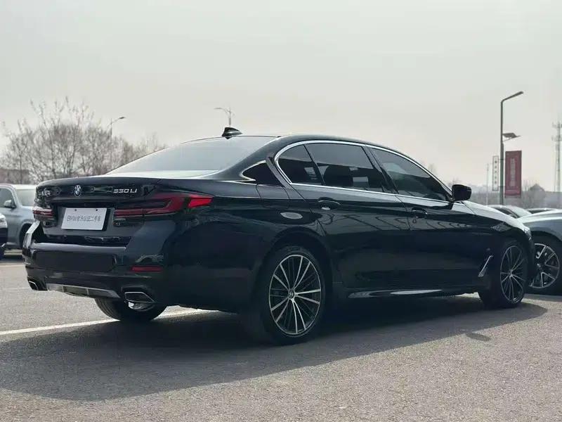 2021 BMW 5 Series 530Li Leading Edition M Sport Package — миниатюра 6