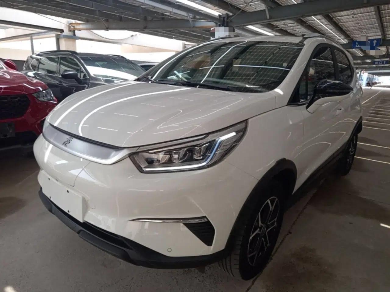 BYD Yuan Pro 2021 Lifetime Edition — миниатюра 1