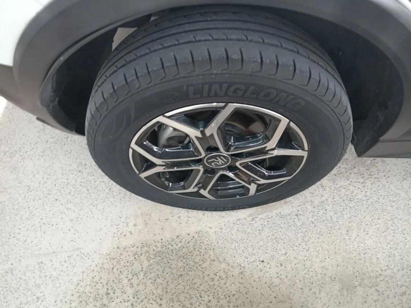 BYD Yuan Pro 2021 Lifetime Edition — миниатюра 11