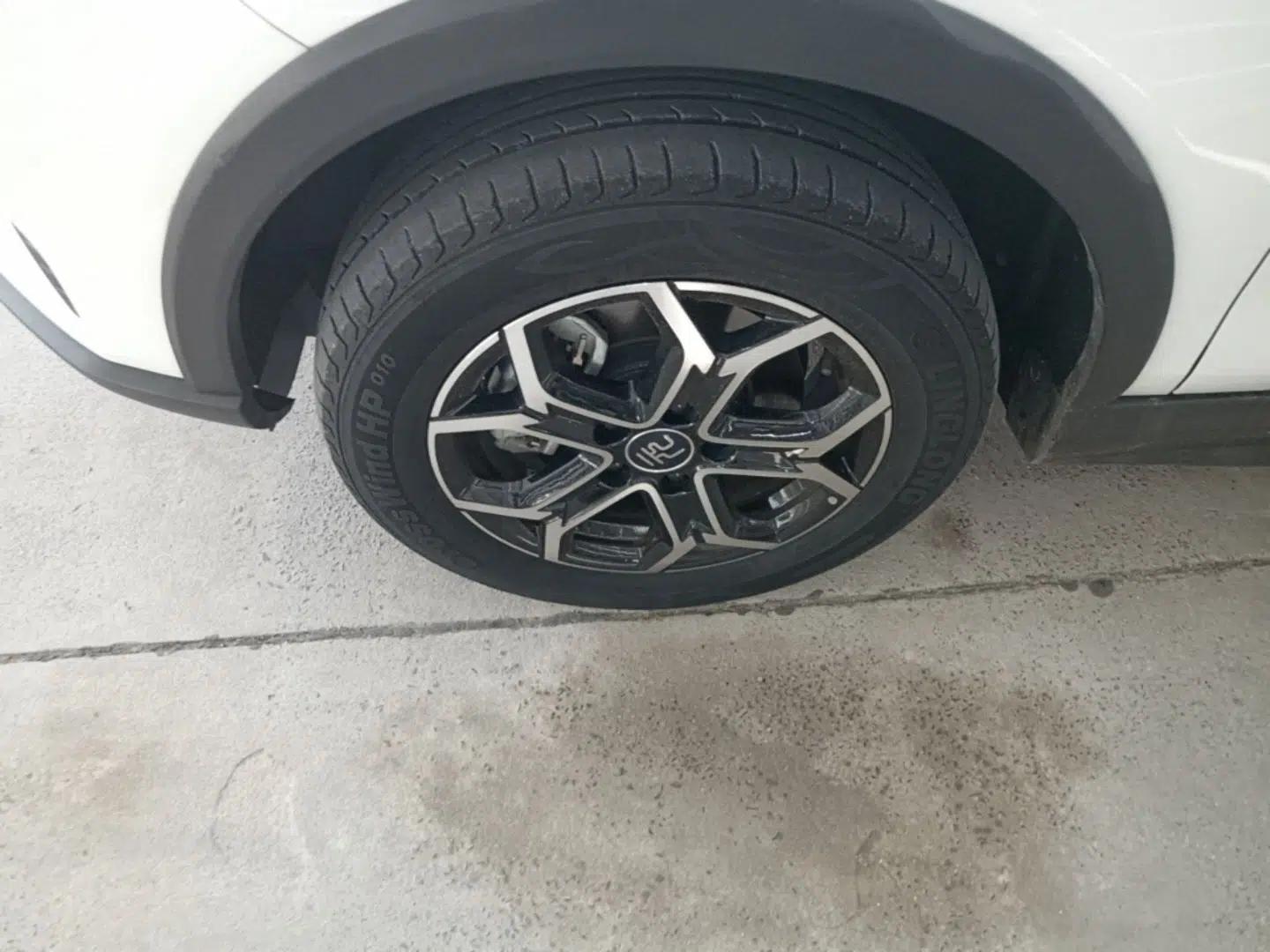 BYD Yuan Pro 2021 Lifetime Edition — миниатюра 10