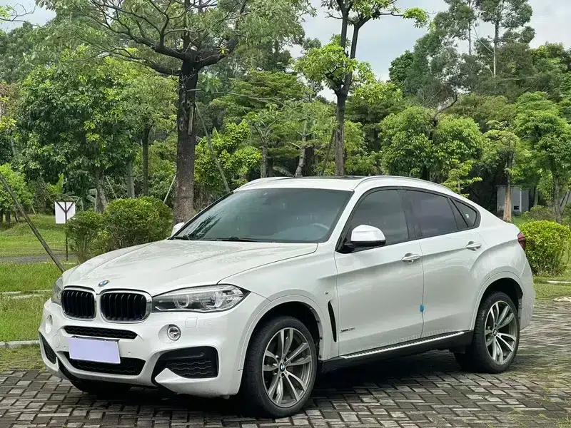 2019 BMW X6 xDrive28i M Sport Package — миниатюра 1