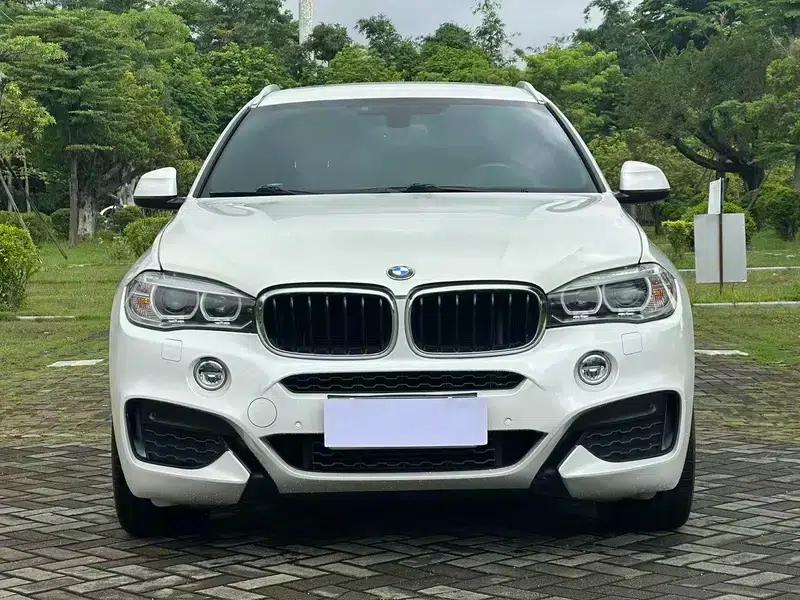 2019 BMW X6 xDrive28i M Sport Package — миниатюра 2