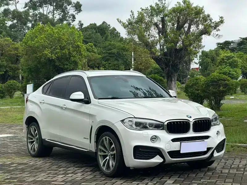 2019 BMW X6 xDrive28i M Sport Package — миниатюра 3