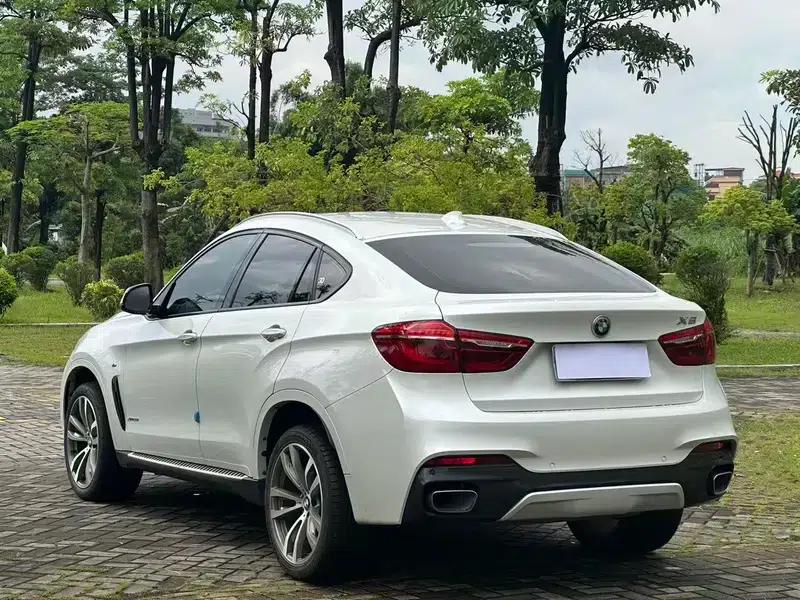 2019 BMW X6 xDrive28i M Sport Package — миниатюра 4