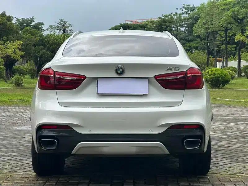 2019 BMW X6 xDrive28i M Sport Package — миниатюра 5