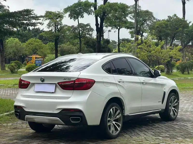 2019 BMW X6 xDrive28i M Sport Package — миниатюра 6