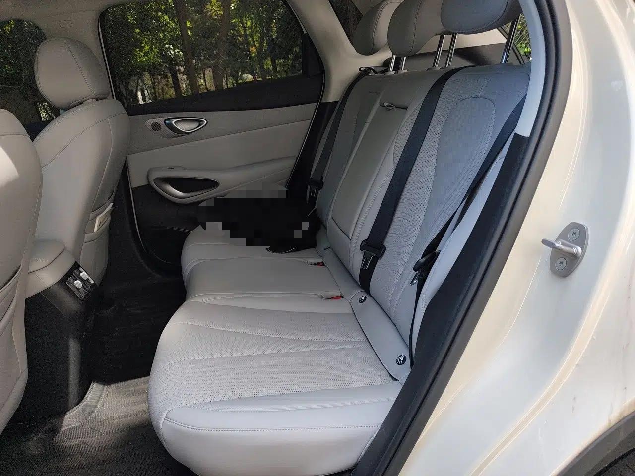 BYD Sealion 05 EV 2025 520 km Smart Cruise Version — миниатюра 14