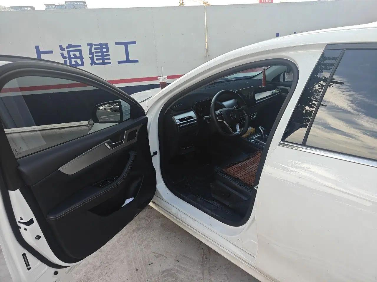 BYD Qin Pro 2020 Beyond Edition 1.5TI Automatic Flagship Version — миниатюра 16