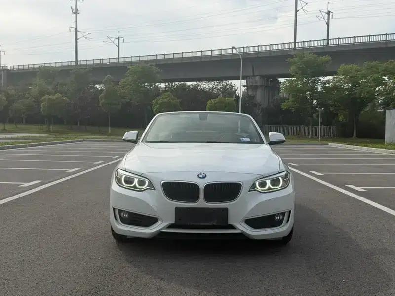 2015 BMW 2 Series (Imported) 218i Convertible Coupe — миниатюра 2