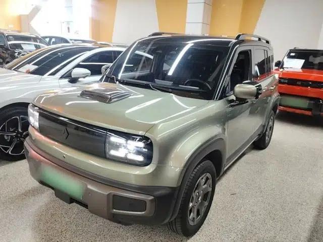 Baojun Spark EUV 2024 Flagship Edition 4 Seats
