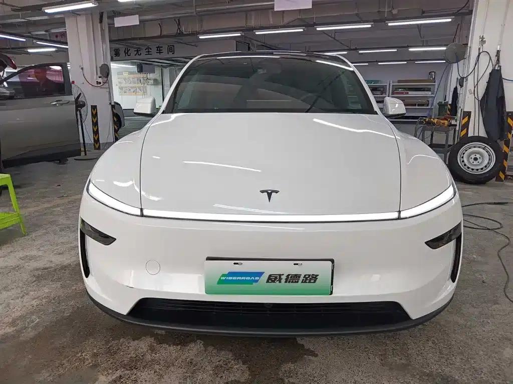 Model Y L 2025 Long Range All-Wheel Drive — миниатюра 2