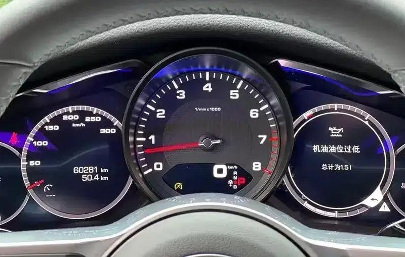 2019 Panamera Executive Long Wheelbase 2.9T — миниатюра 12