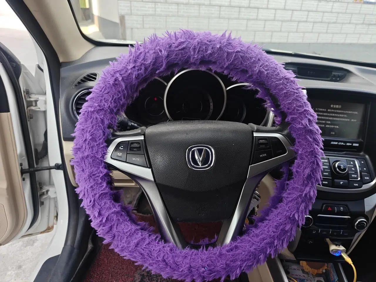 CHANGAN Eado 2015 1.6L Manual Luxury Model China IV Standard — миниатюра 10