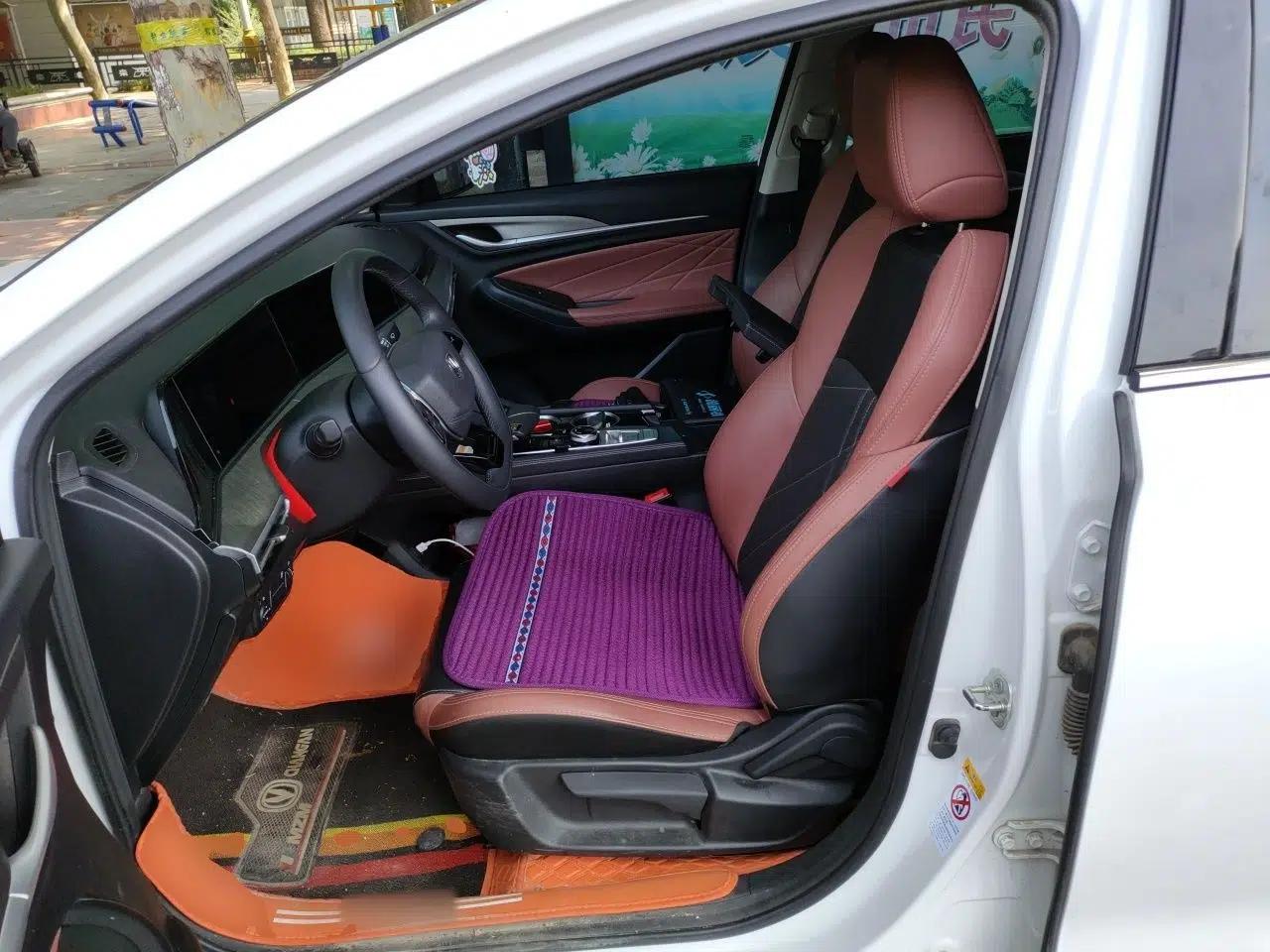 CHANGAN Eado 2022 PLUS Blue Whale NE 1.4T GDI DCT Prestige Edition — миниатюра 15