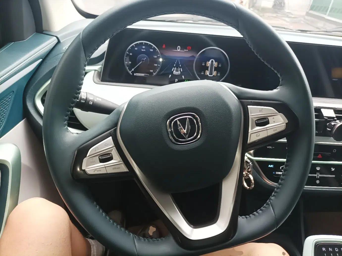 CHANGAN Benni E-Star 2022 Charming Edition Colorful Model Lithium Iron Phosphate — миниатюра 13