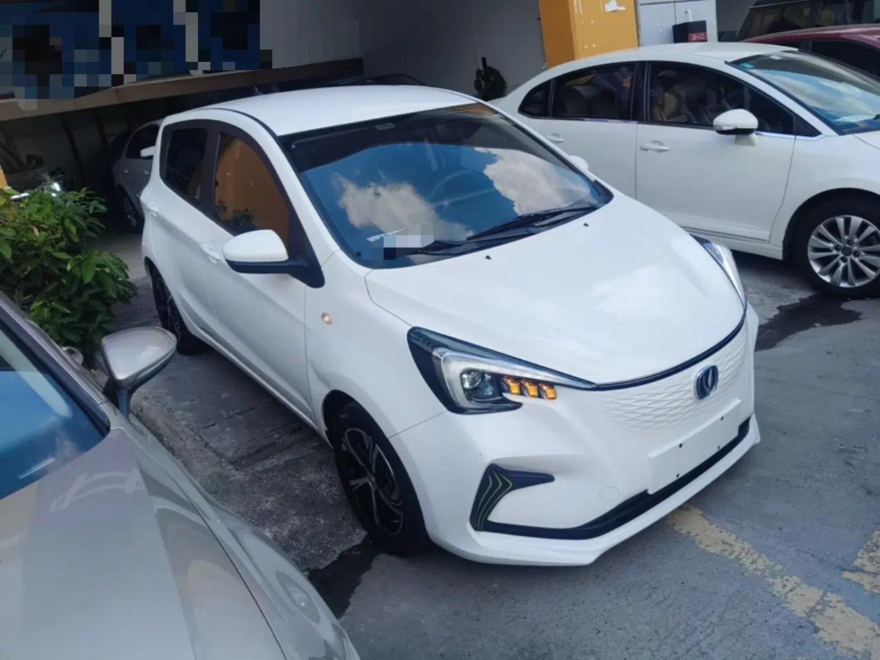 CHANGAN Benni E-Star 2020 Xinyue Edition Lithium-NMC — миниатюра 3