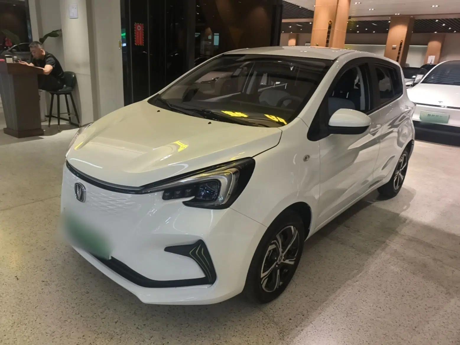 CHANGAN Benni E-Star 2022 National Edition Colorful Limited Edition (Fast-Charging Version) Lithium Iron Phosphate — миниатюра 1