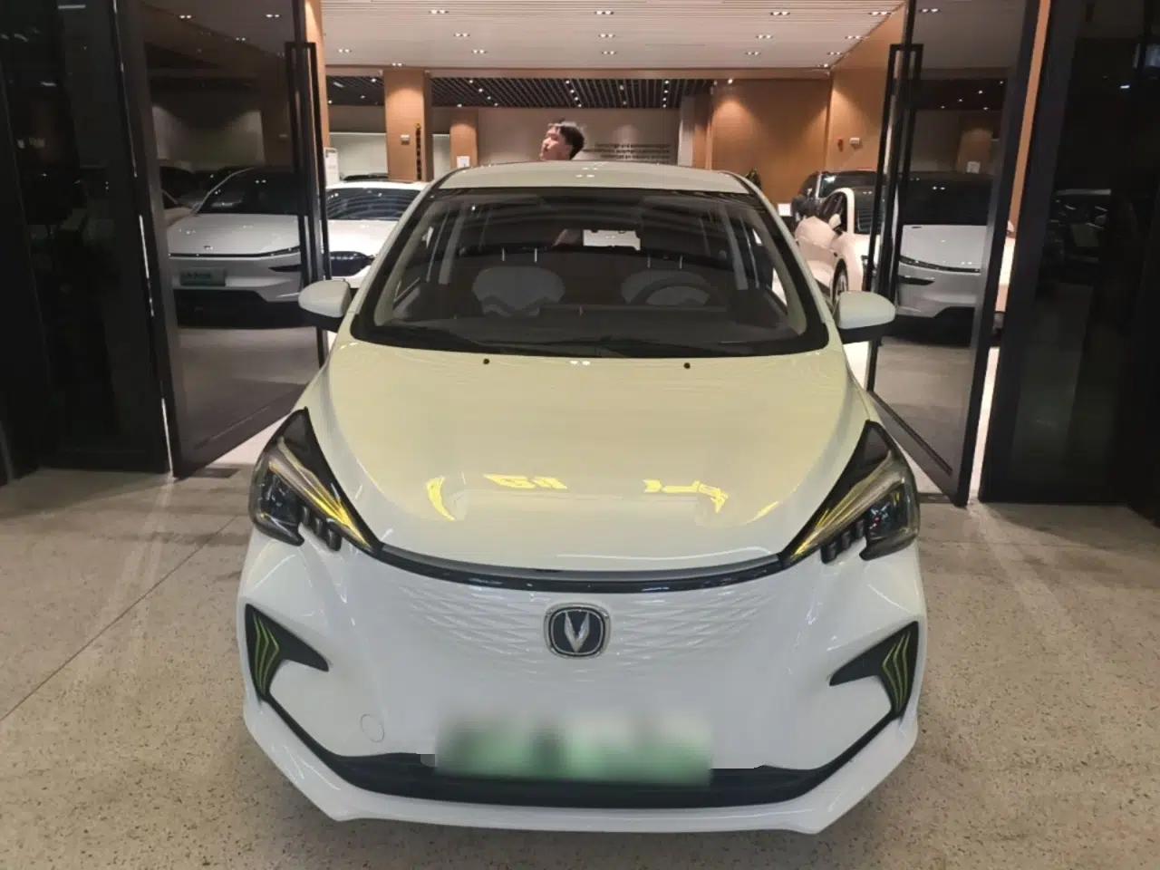 CHANGAN Benni E-Star 2022 National Edition Colorful Limited Edition (Fast-Charging Version) Lithium Iron Phosphate — миниатюра 2