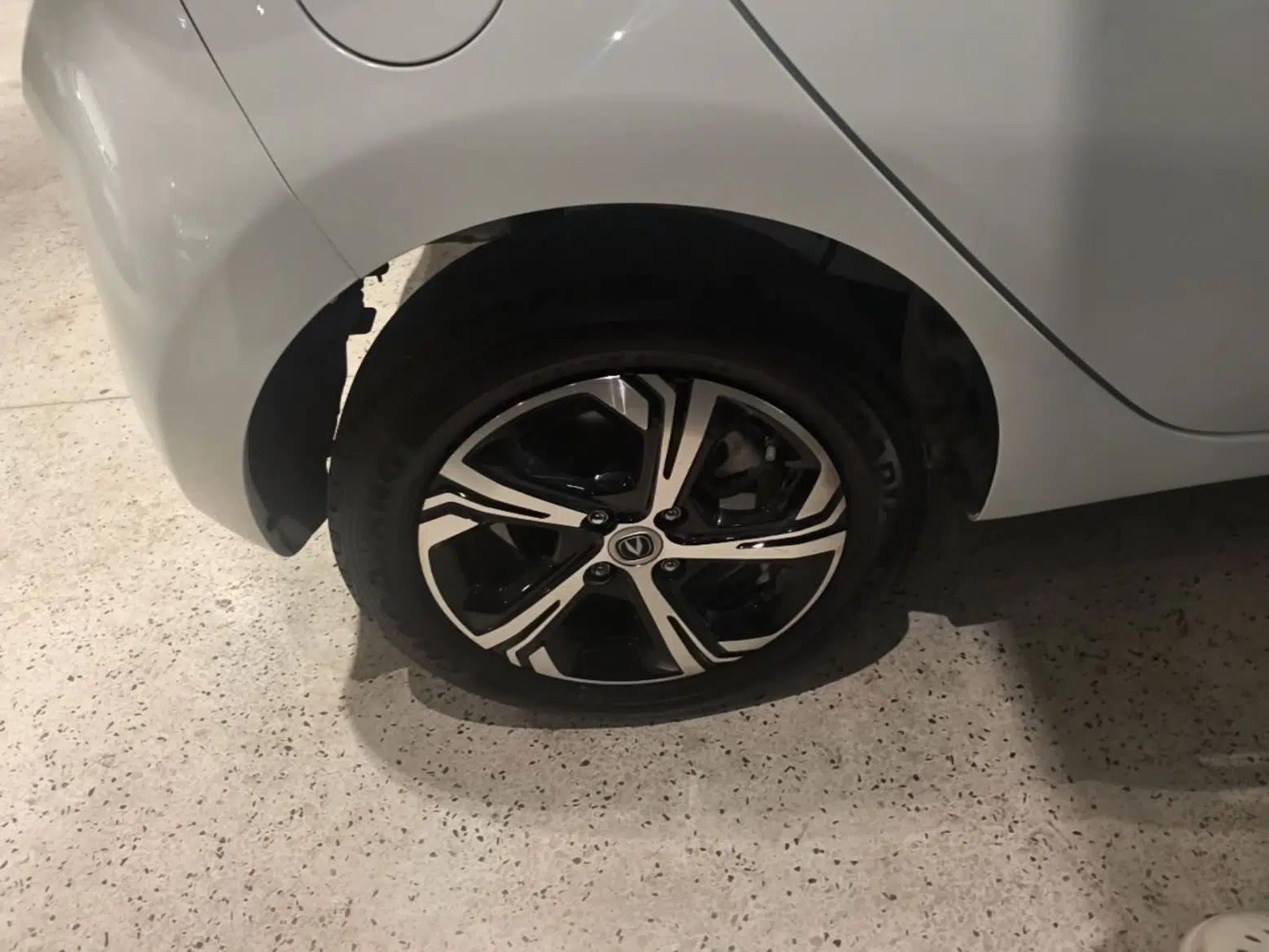 CHANGAN Benni E-Star 2022 National Edition Colorful Limited Edition (Fast-Charging Version) Lithium Iron Phosphate — миниатюра 11