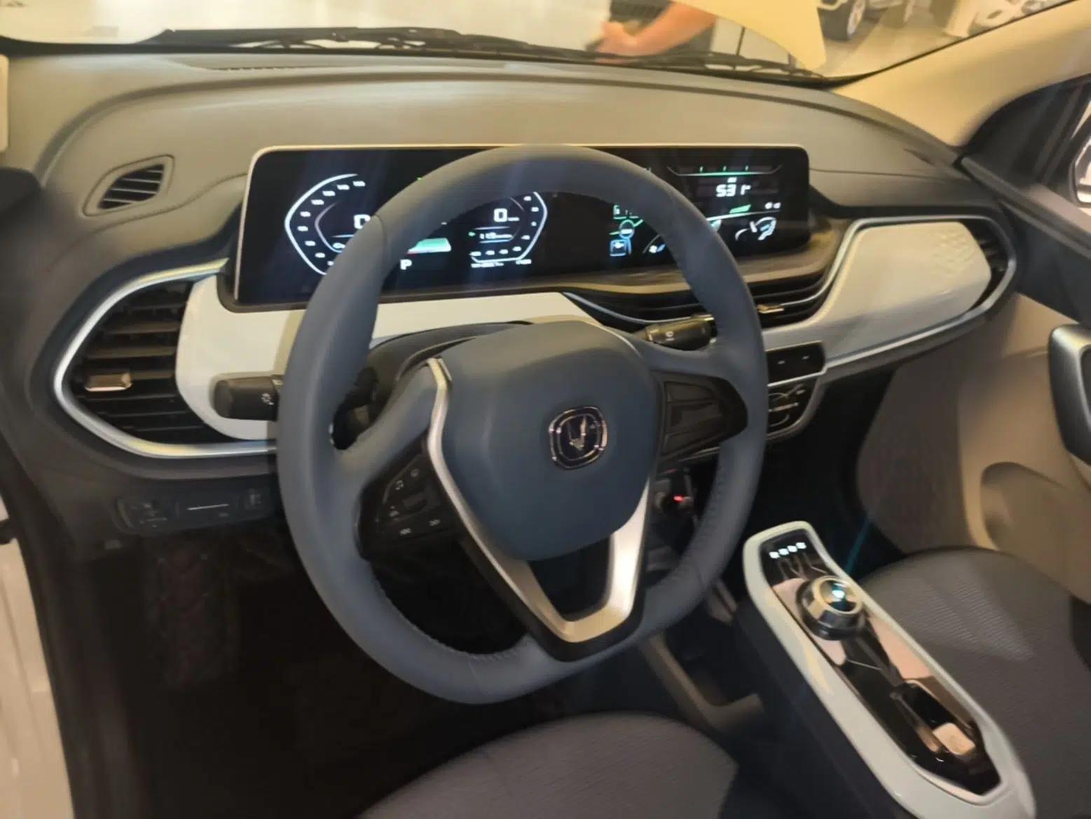 CHANGAN Benni E-Star 2022 National Edition Colorful Limited Edition (Fast-Charging Version) Lithium Iron Phosphate — миниатюра 13