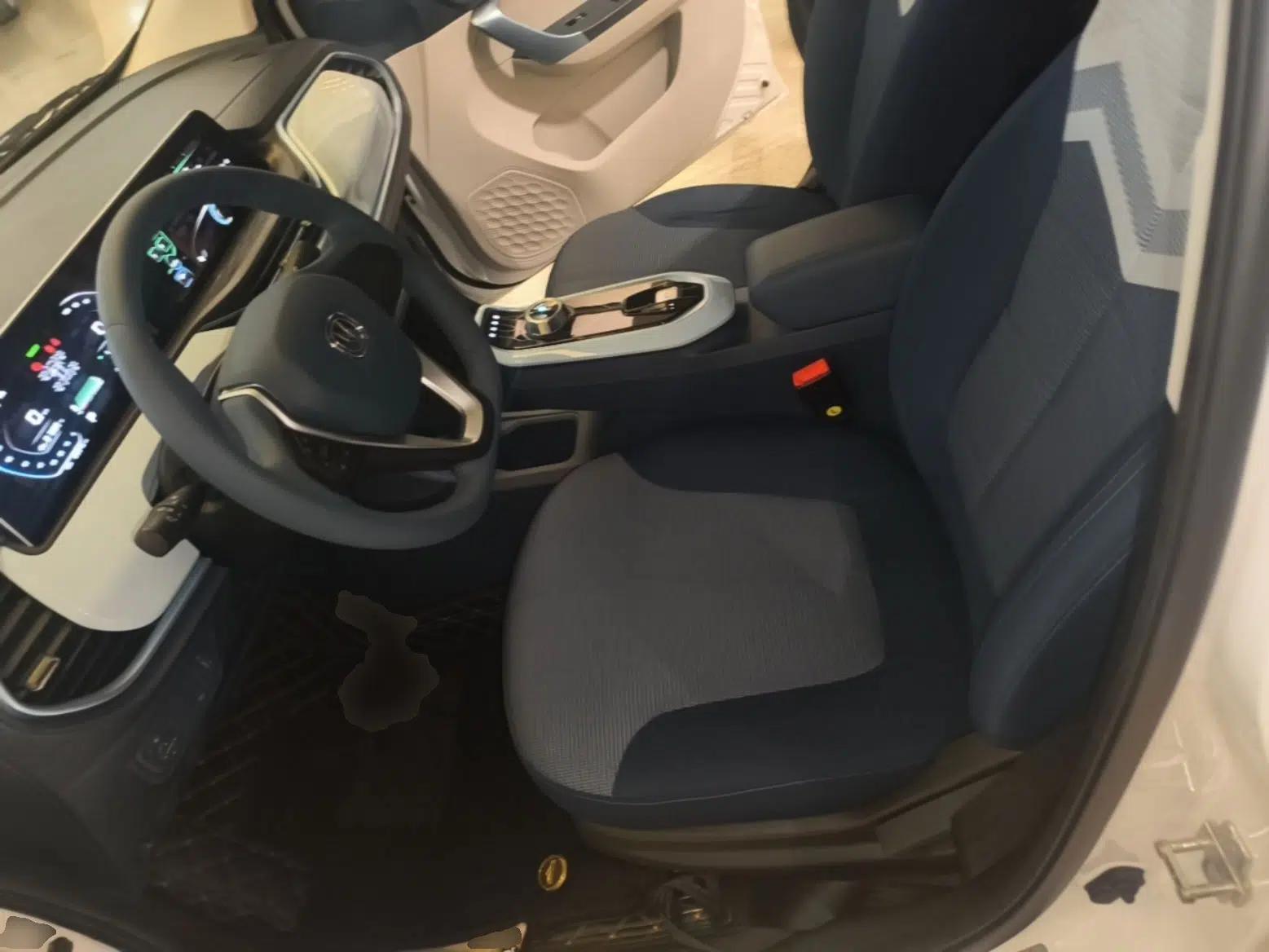 CHANGAN Benni E-Star 2022 National Edition Colorful Limited Edition (Fast-Charging Version) Lithium Iron Phosphate — миниатюра 17