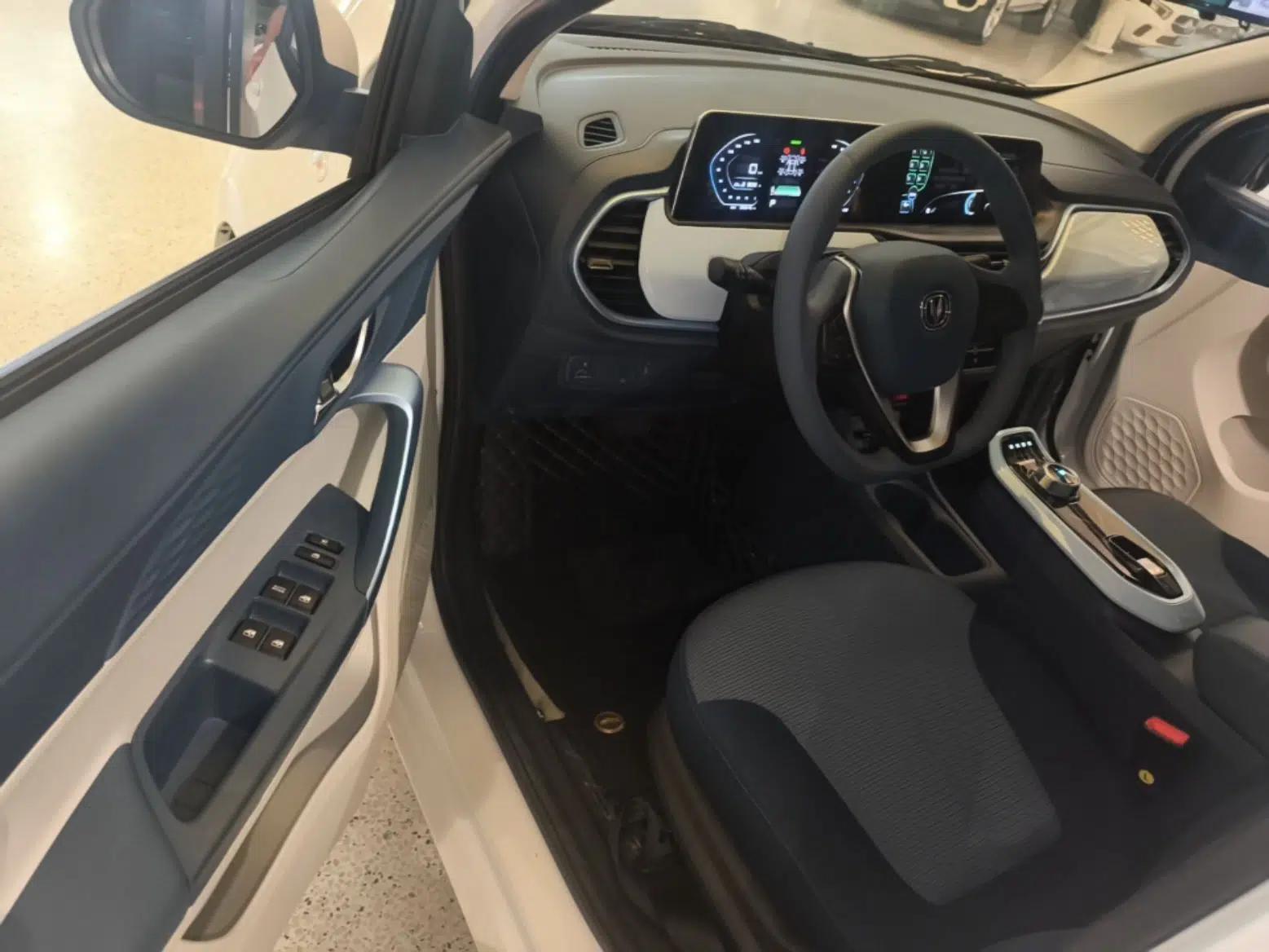 CHANGAN Benni E-Star 2022 National Edition Colorful Limited Edition (Fast-Charging Version) Lithium Iron Phosphate — миниатюра 18