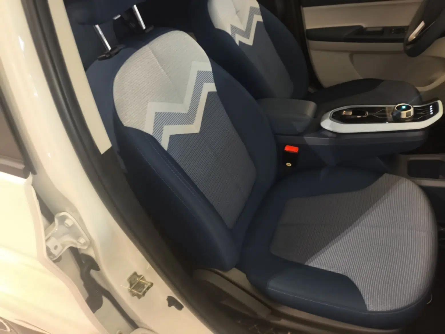 CHANGAN Benni E-Star 2022 National Edition Colorful Limited Edition (Fast-Charging Version) Lithium Iron Phosphate — миниатюра 19