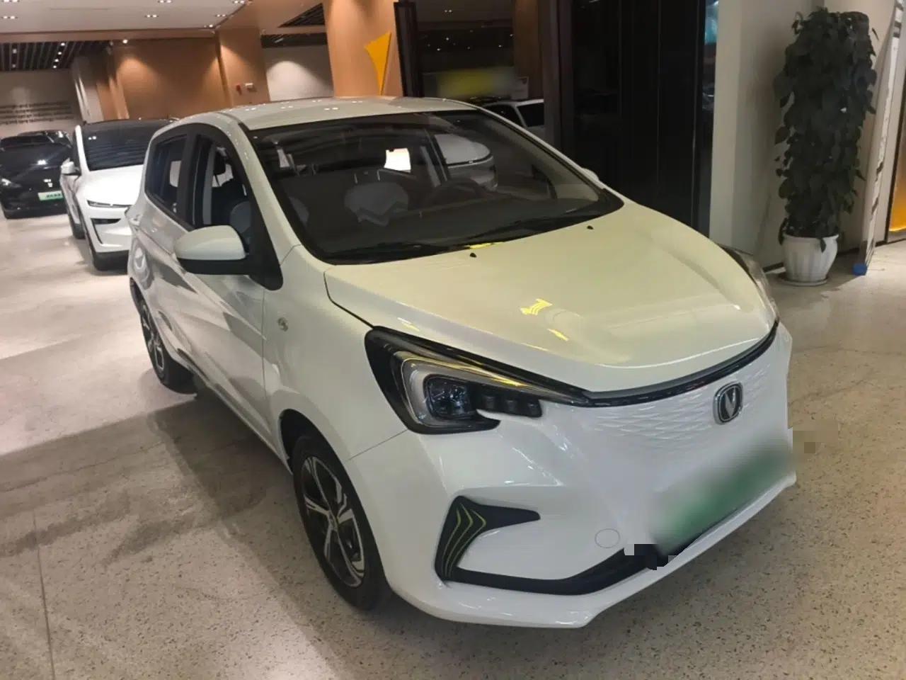 CHANGAN Benni E-Star 2022 National Edition Colorful Limited Edition (Fast-Charging Version) Lithium Iron Phosphate — миниатюра 3