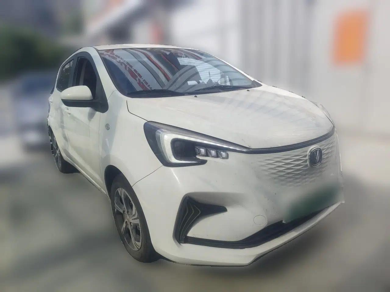 CHANGAN Benni E-Star 2022 Charming Edition Colorful Model Lithium-Ion Battery — миниатюра 3