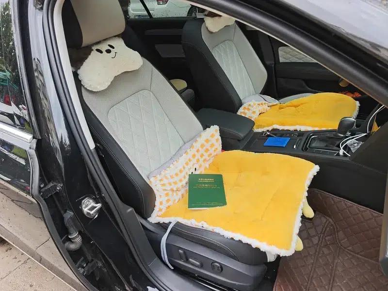 2024 Volkswagen Magotan 330TSI DSG Luxury Edition (2 Million Units Limited Edition) — миниатюра 8