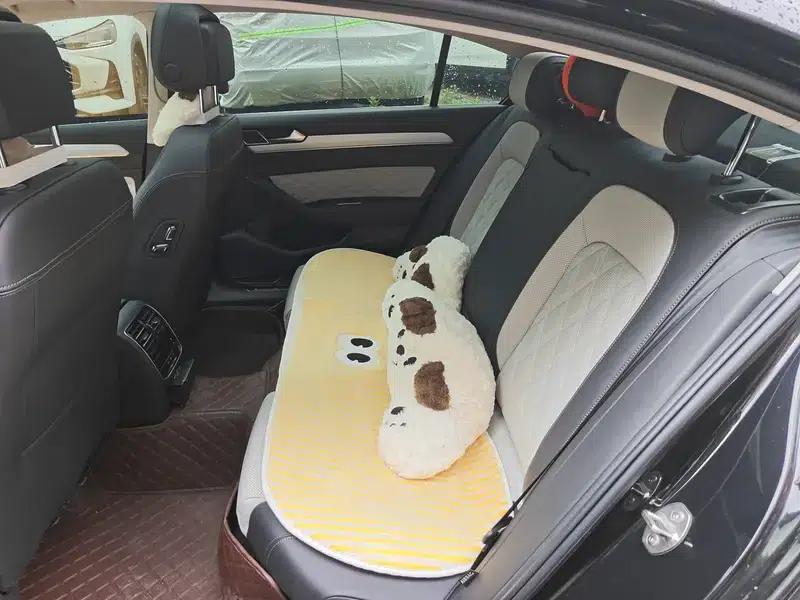 2024 Volkswagen Magotan 330TSI DSG Luxury Edition (2 Million Units Limited Edition) — миниатюра 9