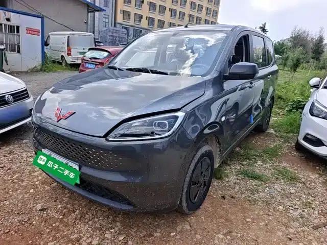 Wuling Hongguang New Energy 2025 Range-Extended Hybrid 50km Comfort Model