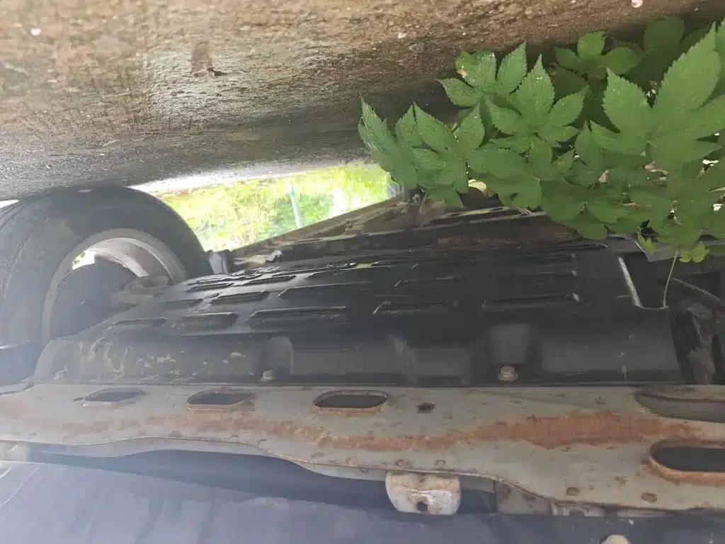 Wuling Hongguang S3 2018 1.5L Manual Deluxe Edition (National V Emission Standard) — миниатюра 23