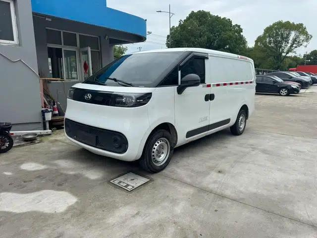 Dana V1 2023 Short Wheelbase Low Roof 42kWh