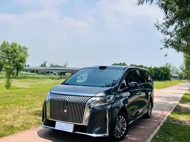 Weipai Gaoshan 2025 Model 4WD Gaoshan 8