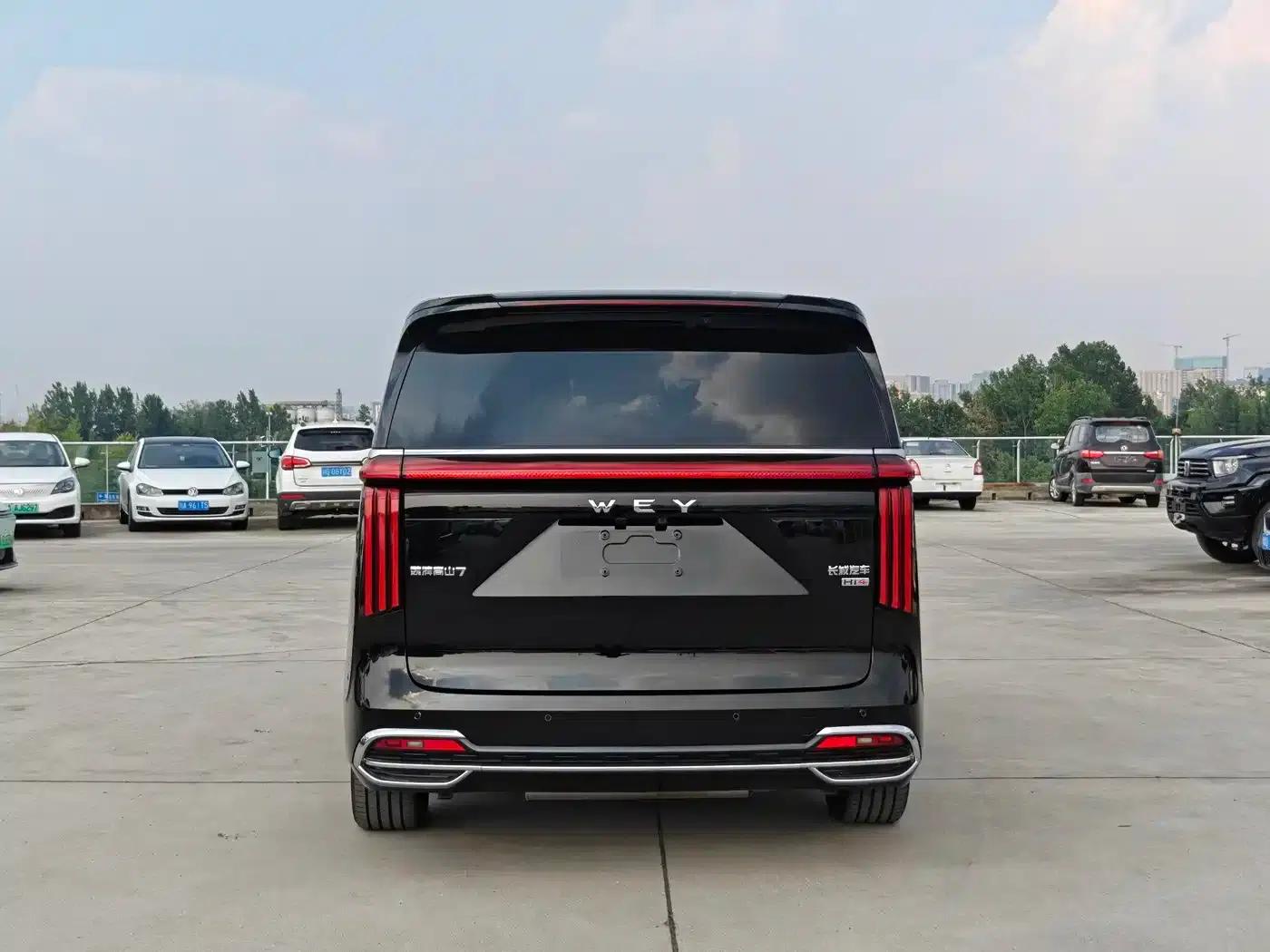 Weipai Gaoshan 2025 Model 4WD Gaoshan 7 — миниатюра 5